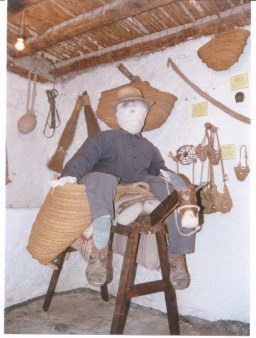 Burro con aparejo y ser�n. Foto: M�ximo R-B S