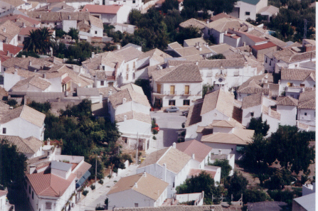 Vista desde el cerro de la Torre Salvar de la Plaza del Rosario de Castil de Campos. Foto: Mximo R.-B. S.