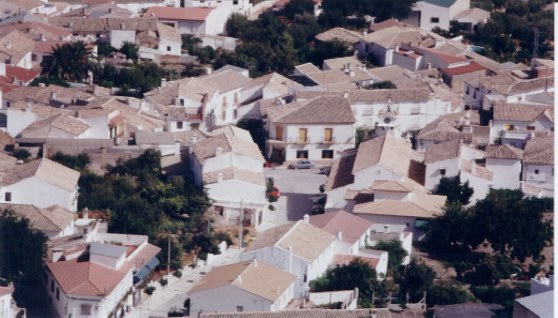 Vista desde el cerro de la Torre Salvar de la Plaza del Rosario de Castil de Campos. Foto: Mximo R.-B. S.